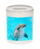 Grote dieren foto spaarpot dolfijn dolfijnen spaarpotten jongens meisjes
