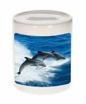 Grote dieren foto spaarpot dolfijn groep dolfijnen spaarpotten jongens meisjes