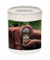 Grote dieren foto spaarpot gekke orangoetan apen spaarpotten jongens meisjes