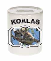 Grote dieren koala beer spaarpot koalas koalaberen spaarpotten kinderen